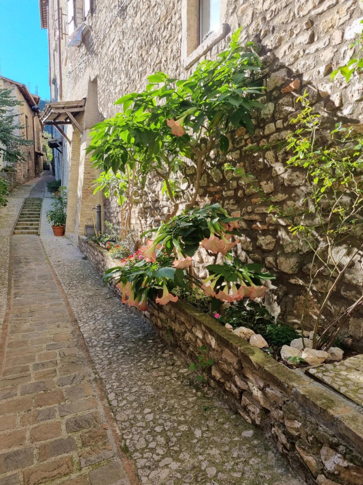 Cuore Del Castello Arrone Екстер'єр фото